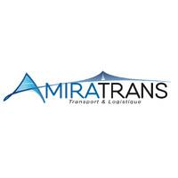 AMIRATRANS Avatar