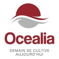 OCEALIA Avatar