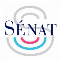 SÉNATRICE Avatar