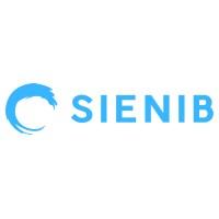 SIENIB Avatar