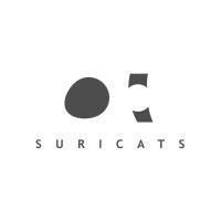 Suricats Consulting Avatar