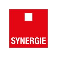 SYNERGIE Avatar