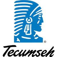 TECUMSEH CESSIEU SAS Avatar