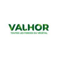 VALHOR Avatar