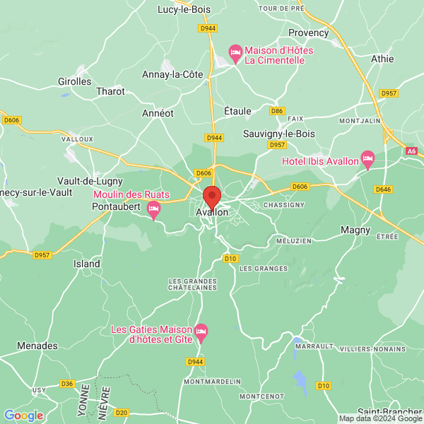 google map