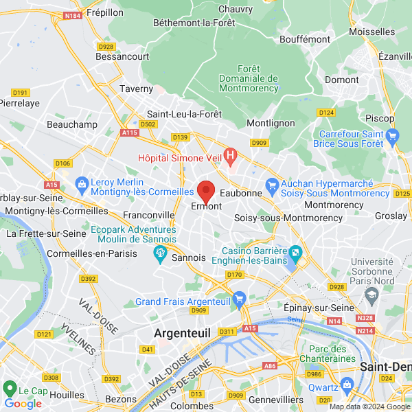 google map