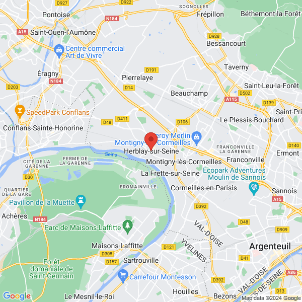 google map