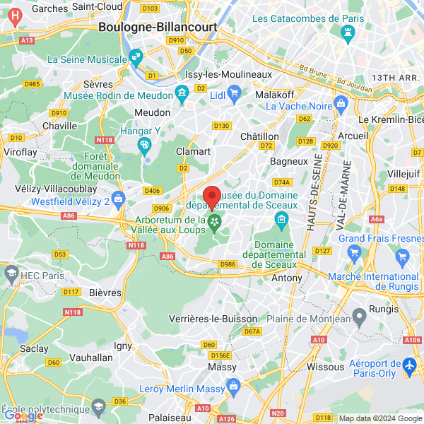 google map