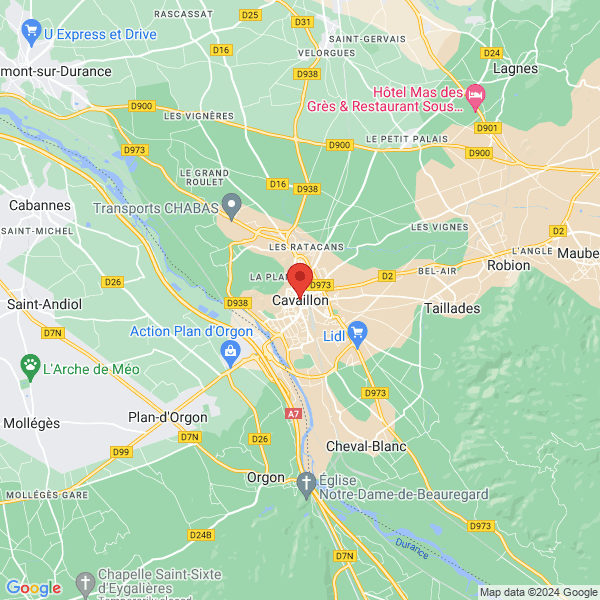google map