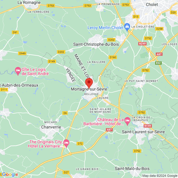 google map