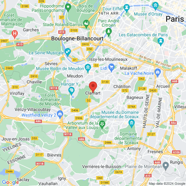 google map