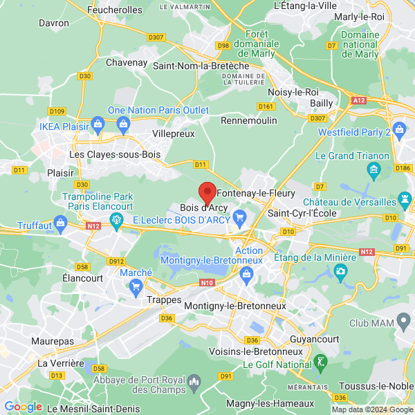 google map