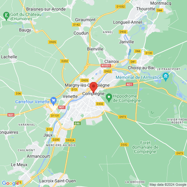google map