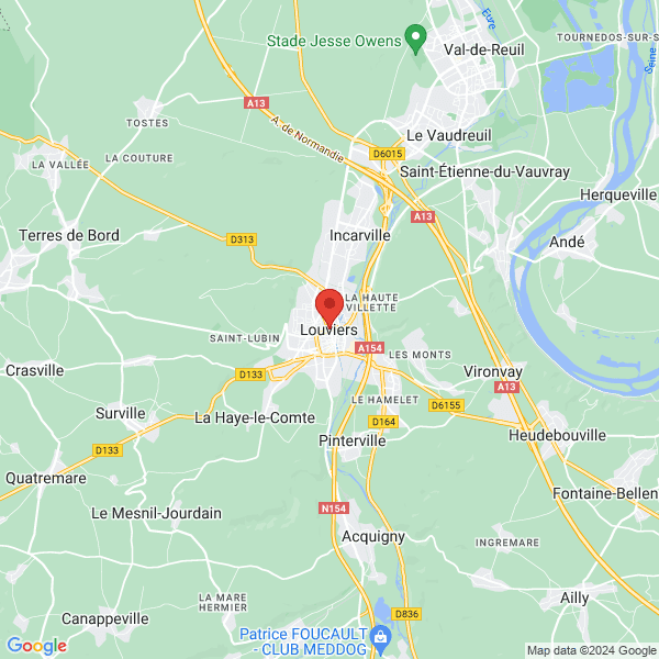 google map