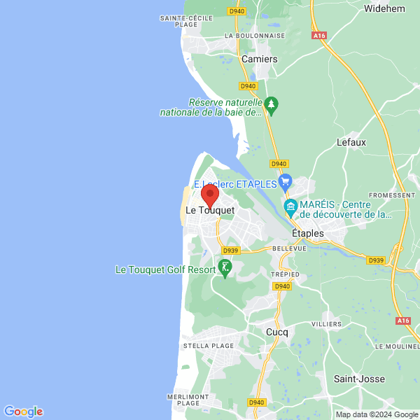 google map