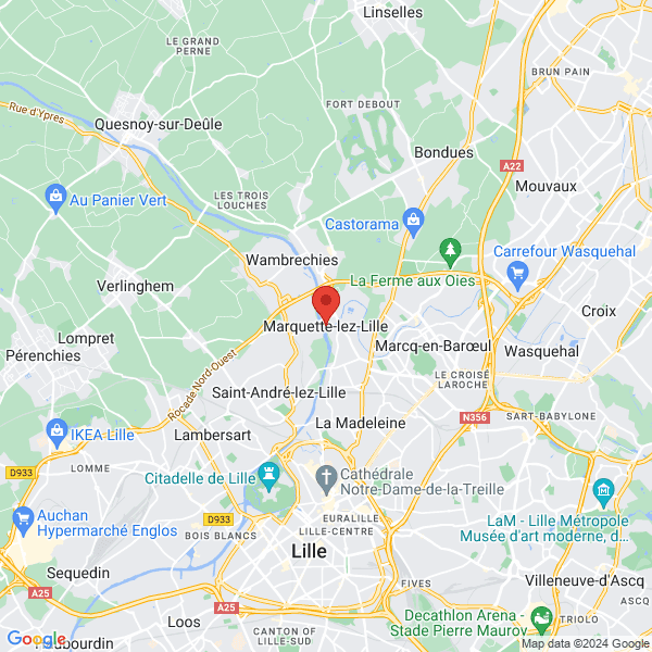google map