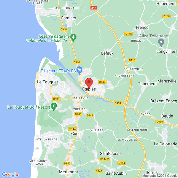 google map