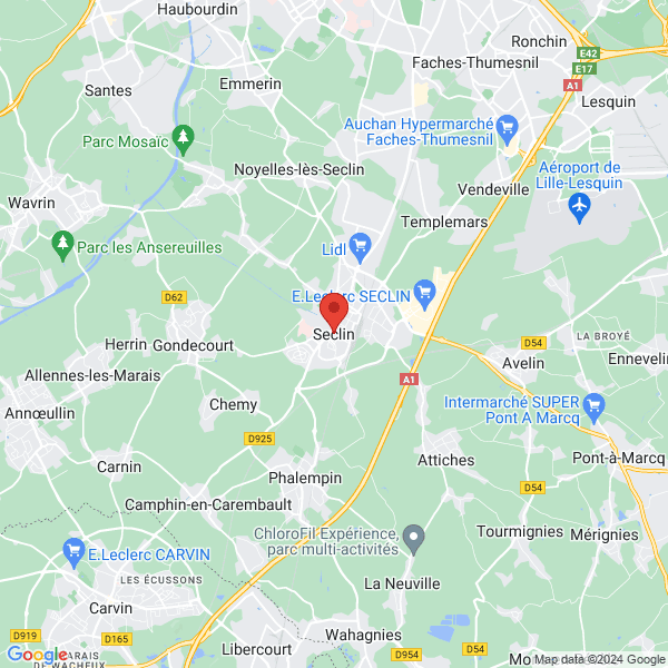 google map