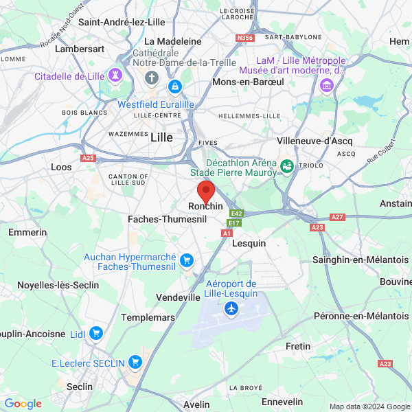 google map