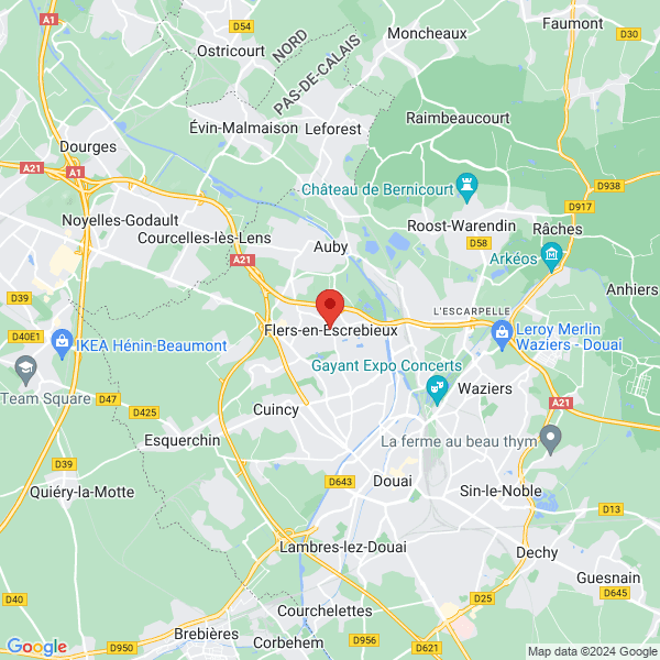 google map