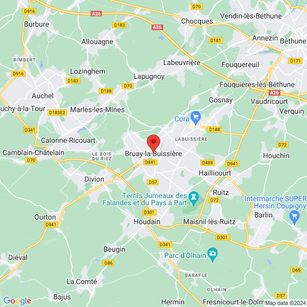 google map
