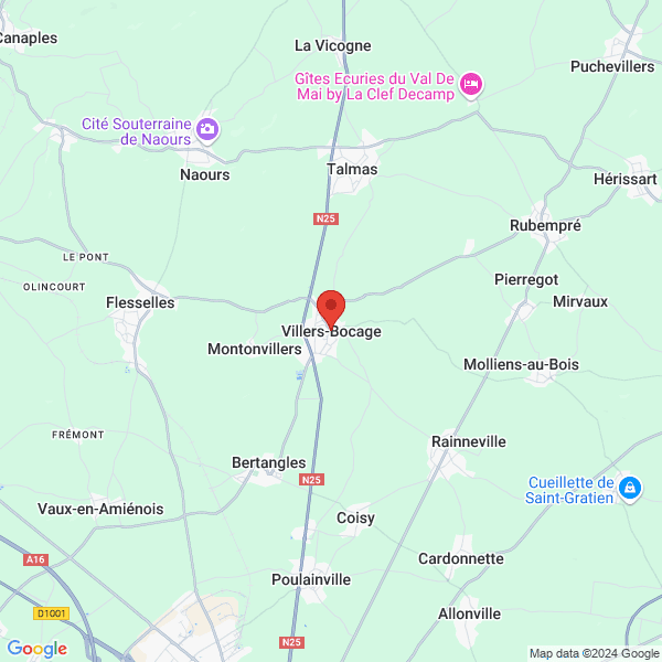 google map