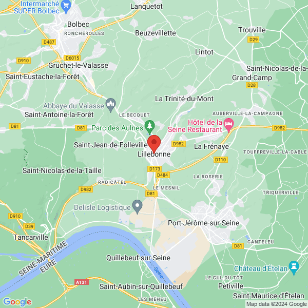 google map