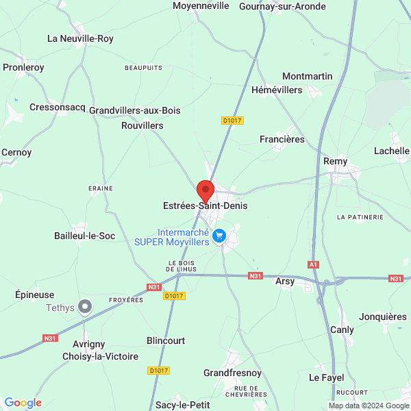 google map