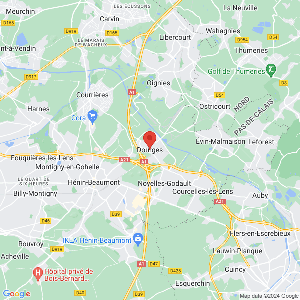 google map
