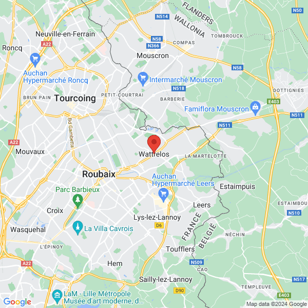 google map