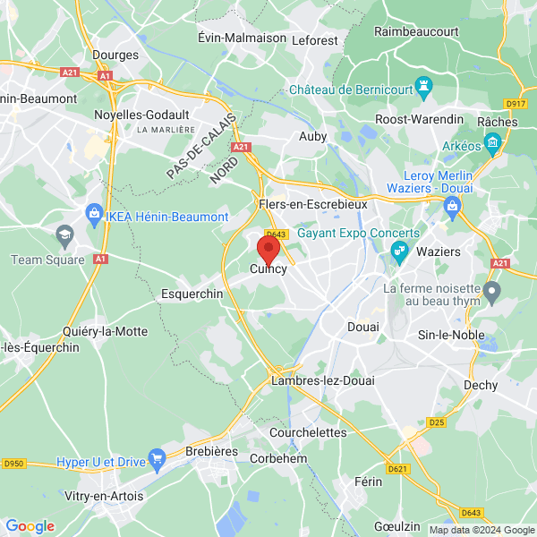 google map