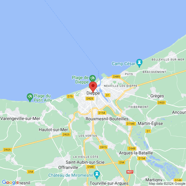 google map