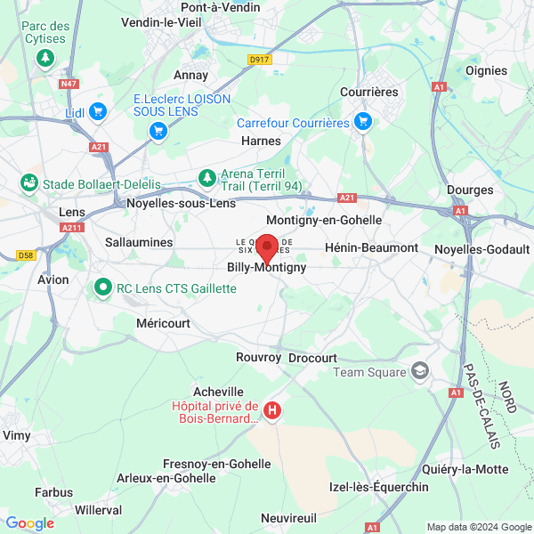 google map