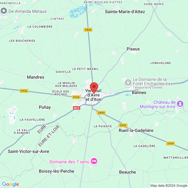 google map