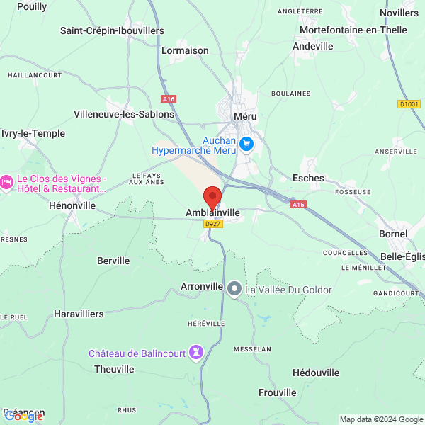 google map