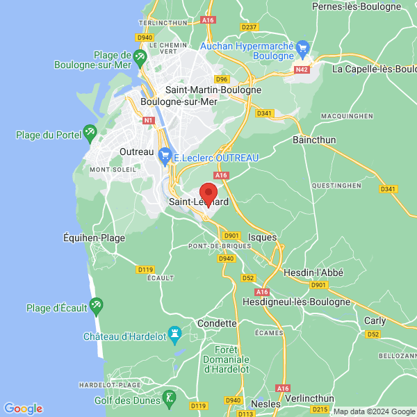 google map
