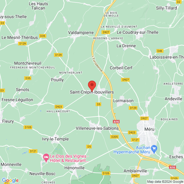 google map