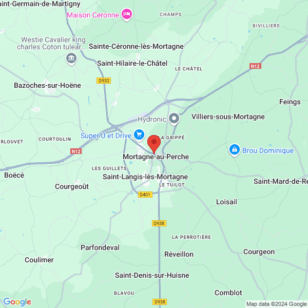 google map