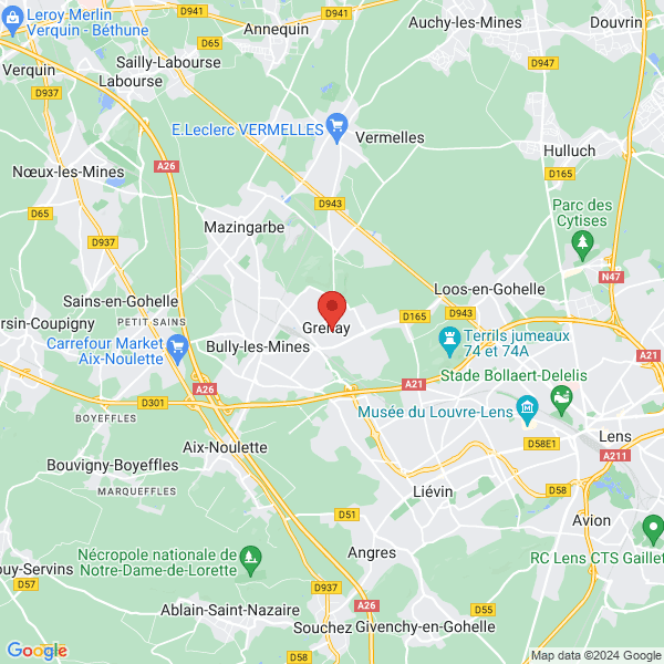 google map