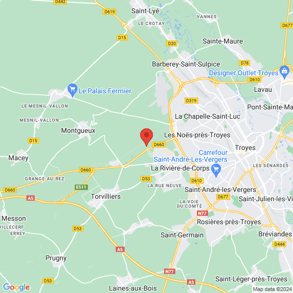 google map