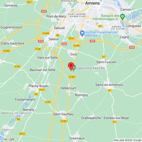 google map
