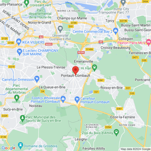google map