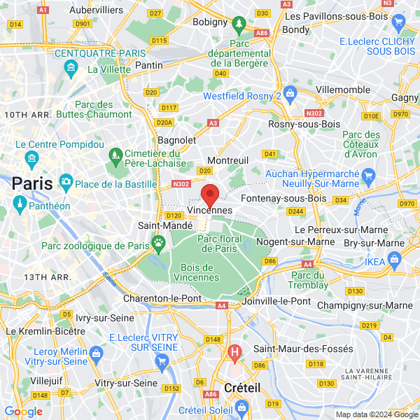google map