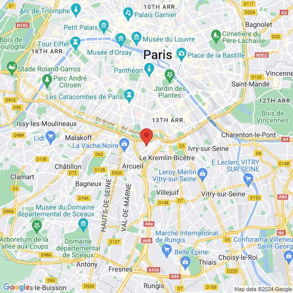 google map