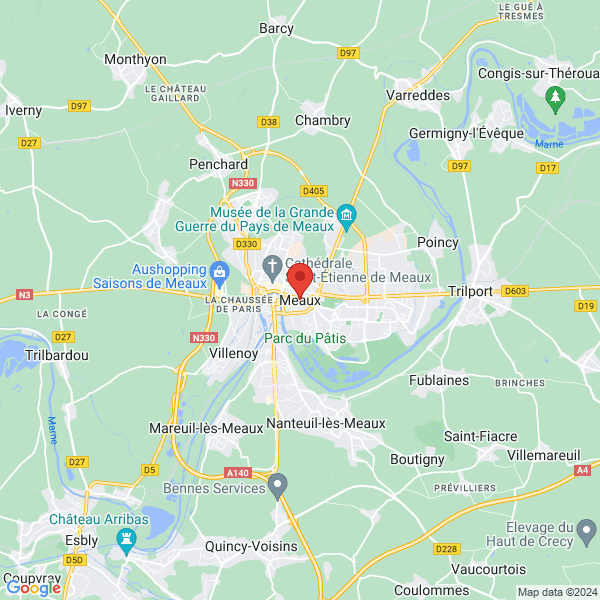google map