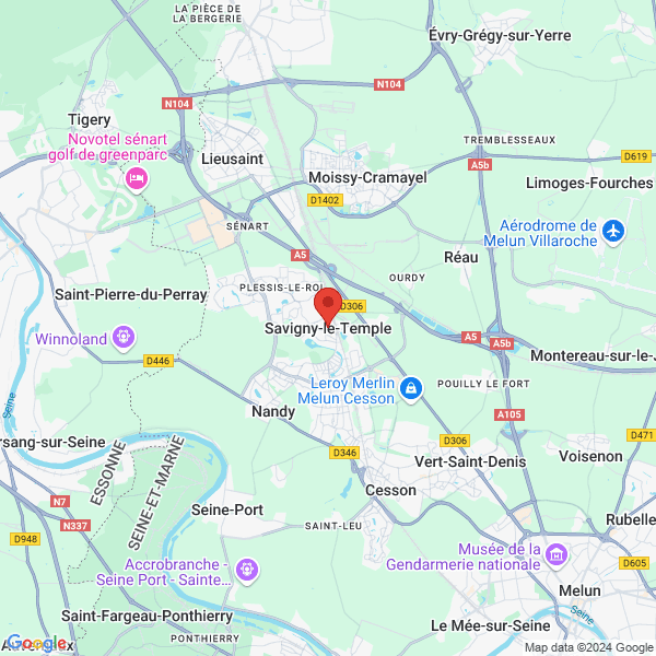 google map