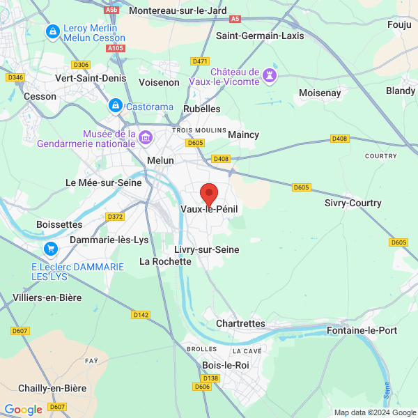 google map