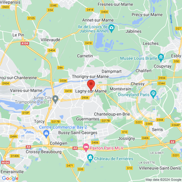 google map