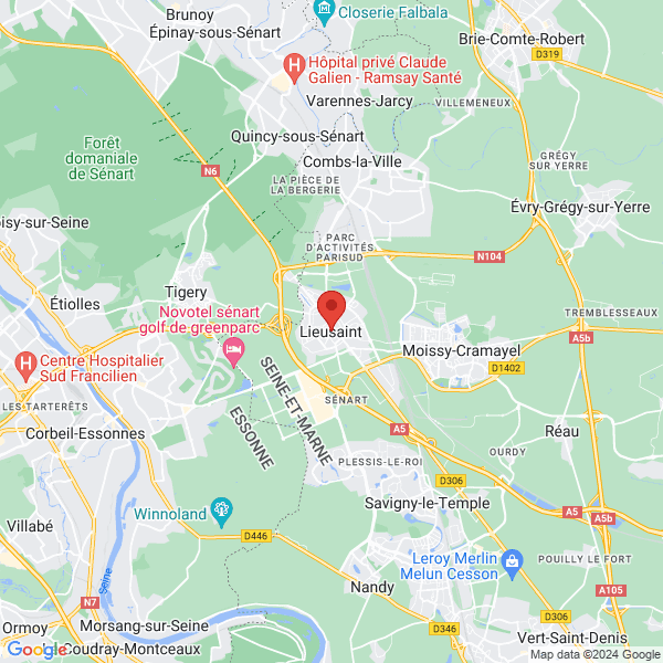 google map