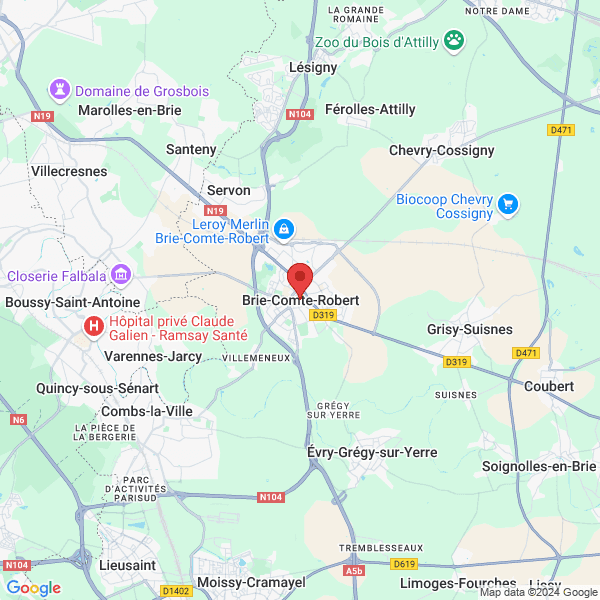 google map